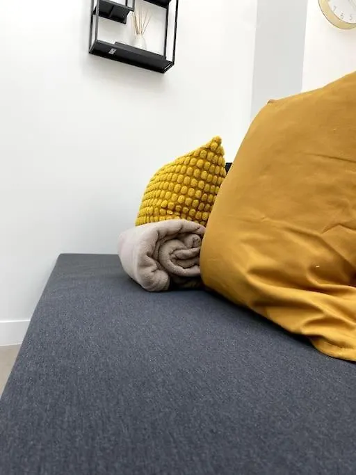 Grand F2 Lumineux Apartment Clermont-Ferrand France